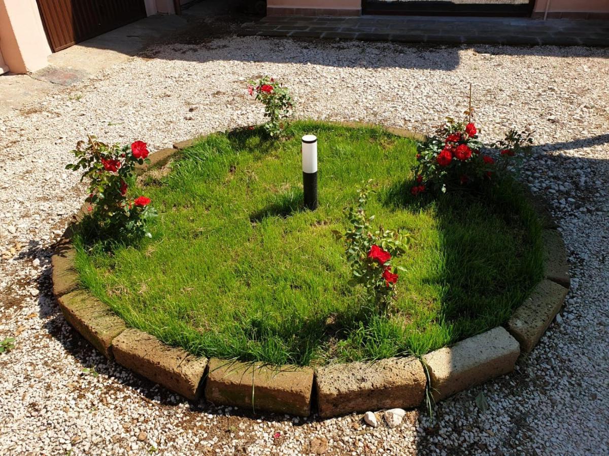 Azienda Agricola Sinisi Cerveteri Luaran gambar