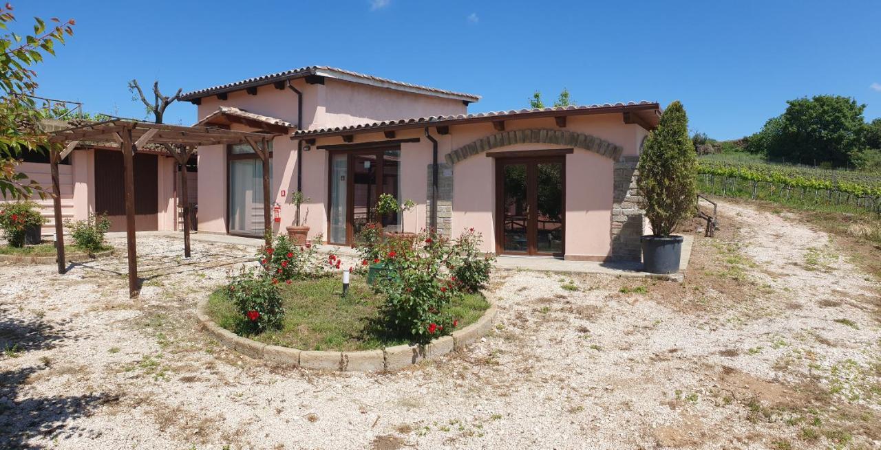 Azienda Agricola Sinisi Cerveteri Luaran gambar