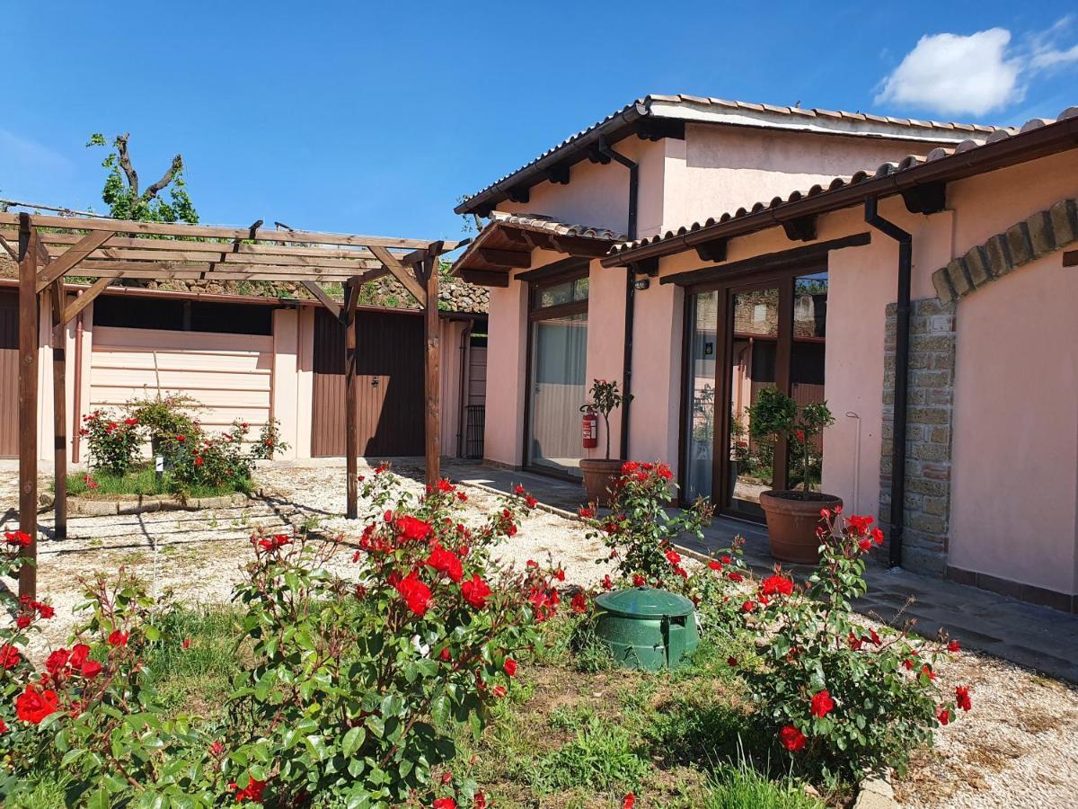 Azienda Agricola Sinisi Cerveteri Luaran gambar