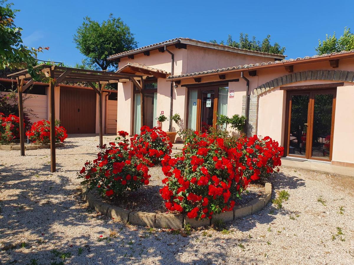 Azienda Agricola Sinisi Cerveteri Luaran gambar