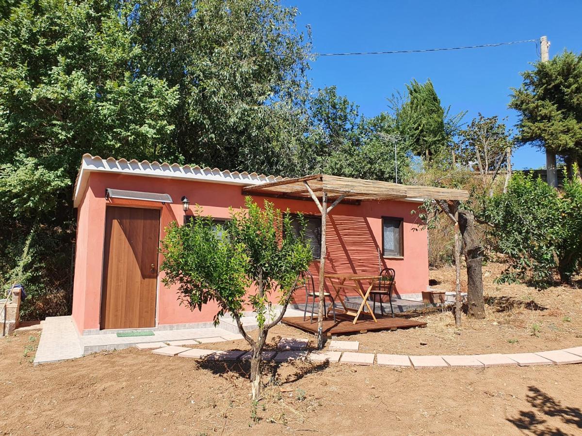 Azienda Agricola Sinisi Cerveteri Bilik gambar
